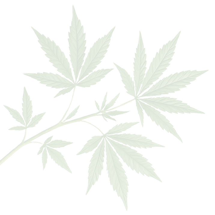 leaf3-20